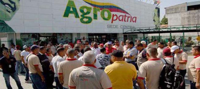 Sirlene Araujo Díaz: “En producción agropecuaria, Venezuela ha retrocedido 70 años”
