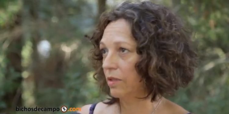 Alejandra Vera: una aprendiz de apicultora que ahora quiere difundir la actividad