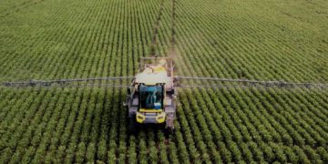 Para Brasil las peras y manzanas argentinas son peligrosas, pero el glifosato es seguro