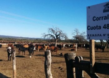 No todo es China: mejora algo el negocio de exportación de carne a Europa