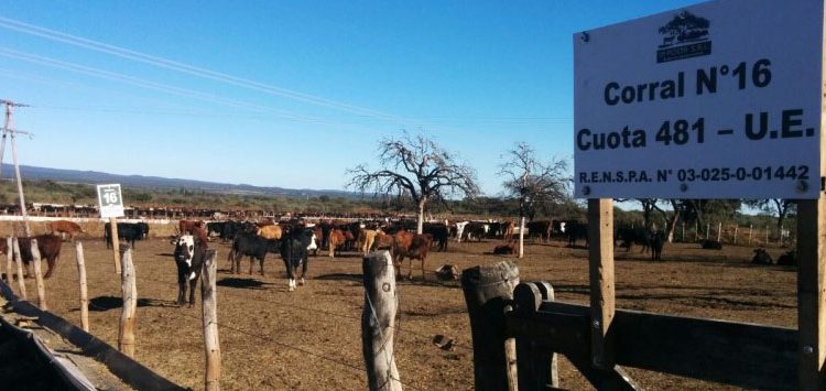No todo es China: mejora algo el negocio de exportación de carne a Europa
