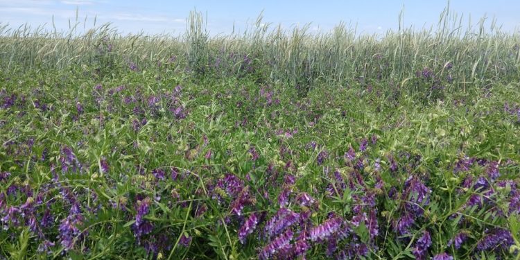 Una práctica que crece: La Facultad de Agronomía ya cuenta con su propio “corredor biológico”