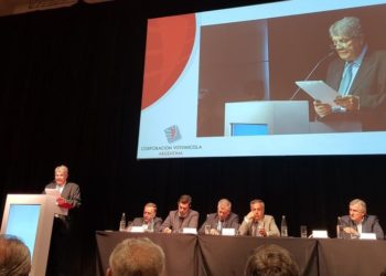 Vendimia 2019: La crisis de la vitivinicultura se coló en medio de los festejos de la política