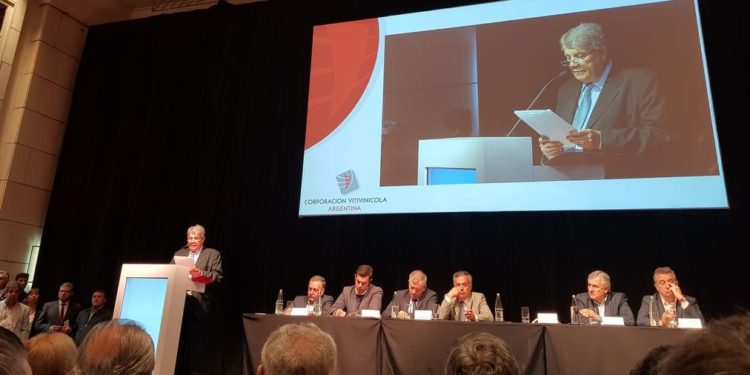 Vendimia 2019: La crisis de la vitivinicultura se coló en medio de los festejos de la política