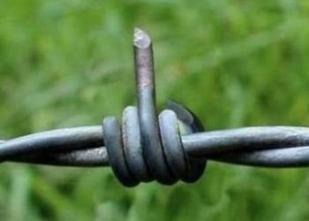 Un productor rebelde se pregunta: ¿Perdón, pero si quiero especular qué?