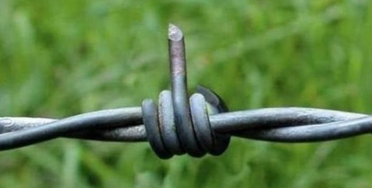 Un productor rebelde se pregunta: ¿Perdón, pero si quiero especular qué?