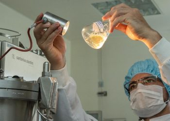 ¿Vieja, qué comemos hoy? Preparé hongo Kernel, que es parecido al atún desmenuzado