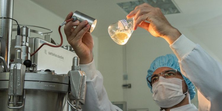 ¿Vieja, qué comemos hoy? Preparé hongo Kernel, que es parecido al atún desmenuzado