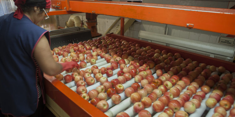 Hubo acuerdo y Brasil aceptó volver a importar manzanas y peras de la Argentina