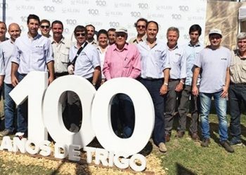 El semillero Klein cumplió 100 años y sigue poniendo su eje en la calidad del trigo