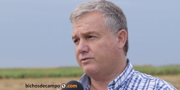 Palabra de productor: “Está todo desfasado, el Gobierno tiene analizar los costos de la cadena”