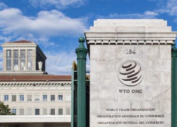 La Argentina junta hinchada para que la edición génica no se regule tanto como los OGM