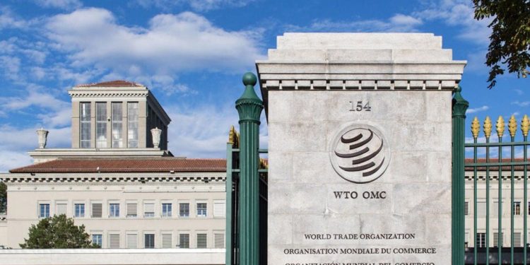 La Argentina junta hinchada para que la edición génica no se regule tanto como los OGM