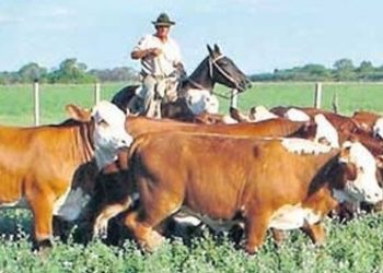 Con las entidades divididas, se decidió un nuevo aumento para los peones rurales