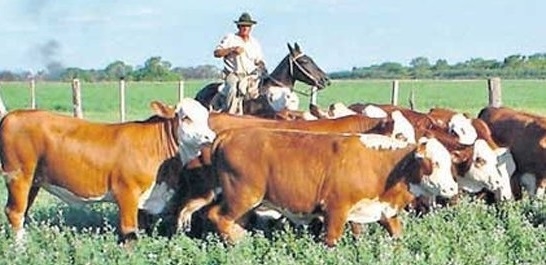 Con las entidades divididas, se decidió un nuevo aumento para los peones rurales