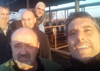 El análisis de Elizalde & Riffel: Quiénes ganan y quiénes pierden con el nuevo peso mínimo de faena