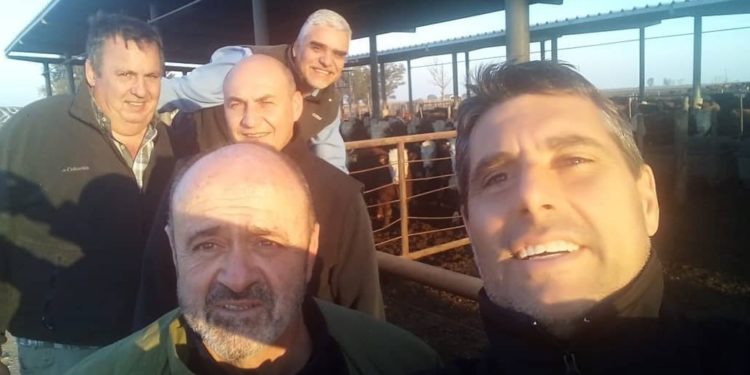 El análisis de Elizalde & Riffel: Quiénes ganan y quiénes pierden con el nuevo peso mínimo de faena