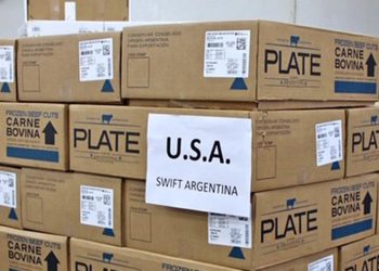 Miguel de Achaval, de Swift: “No me parece una buena idea que un país sea chino-dependiente”