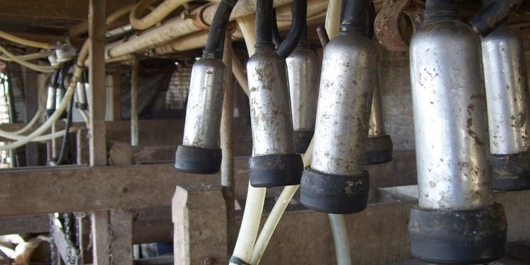 Hablame de cambiar: Entre Ríos perdió casi 30% de sus tambos desde 2015