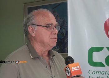 Agustín Argibay: “La crisis de la fruticultura lleva 10 años y es general, no solo del productor chico”