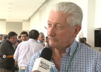 La presión ambientalista en Entre Ríos: “El productor ya no sabe lo que se puede hacer y lo que no se puede”