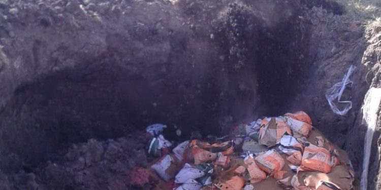 Nene, mirá que te dije que no sembraras alfalfa ilegal…