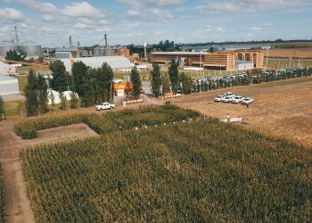 KWS, la semillera que sobrevivió al Muro de Berlín, quiere jugar más fuerte en el mercado local de semillas