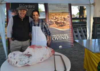 Buscan formalizar al sector ovino y crear nuevos canales comerciales para la carne