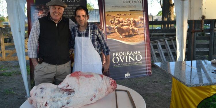 Buscan formalizar al sector ovino y crear nuevos canales comerciales para la carne