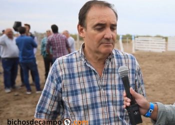 Jorge Rubio, enólogo y bodeguero: “La crisis de la vitivinicultura es culpa de todos los actores”