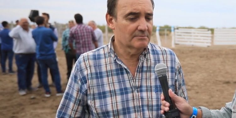 Jorge Rubio, enólogo y bodeguero: “La crisis de la vitivinicultura es culpa de todos los actores”