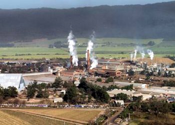 Sabores y saberes: Cómo cocinar una lampalagua y otros secretos de la cultura jujeña