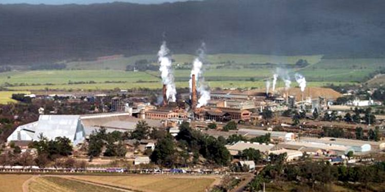Sabores y saberes: Cómo cocinar una lampalagua y otros secretos de la cultura jujeña