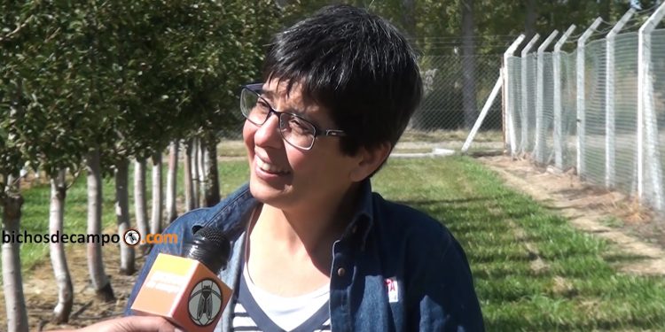Paula Calvo, de INTA Alto Valle: “Estamos atrasados con las variedades de manzana que pide el mundo”
