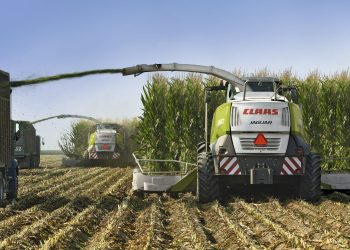 El picado de forrajes, una tarea para encomendar a  expertos de confianza