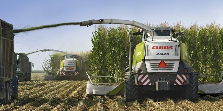 El picado de forrajes, una tarea para encomendar a  expertos de confianza