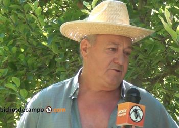 Alto Valle: La historia de un productor cercado entre chacras abandonadas y el negocio inmobiliario