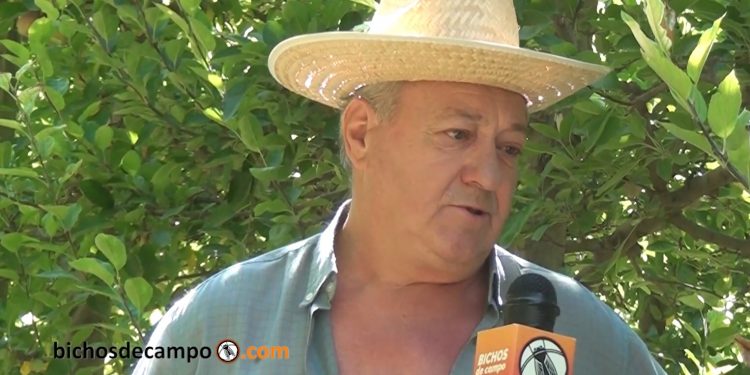 Alto Valle: La historia de un productor cercado entre chacras abandonadas y el negocio inmobiliario