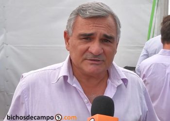 Los emoji del agro: Sergio Bernardi, de las extrusadoras, está 😬 porque no pueden exportar