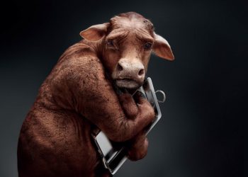 Histórico: Tras los aumentos, el consumo de carne vacuna cayó por debajo de los 50 kilos anuales por habitante