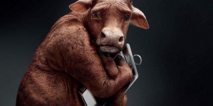 Histórico: Tras los aumentos, el consumo de carne vacuna cayó por debajo de los 50 kilos anuales por habitante