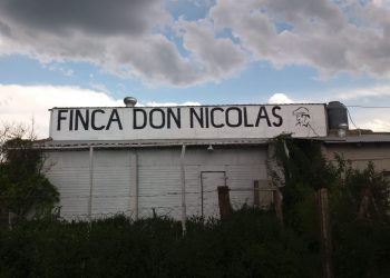 Sabores y saberes: El turismo rural como alternativa a la crisis del Alto Valle