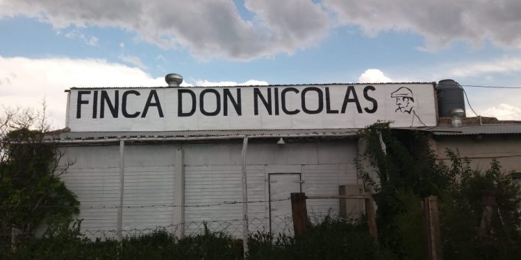 Sabores y saberes: El turismo rural como alternativa a la crisis del Alto Valle