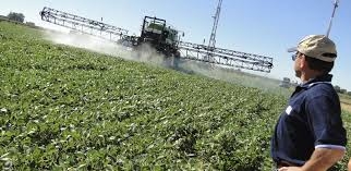 Otro golpe de knock out a los agroquímicos: Los prohíben por completo para cuatro campos de Pergamino