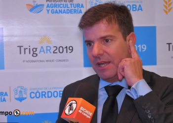 Diego Cifarelli: “No va a faltar trigo este año, pero lo que no sé es el precio al que se negociará”