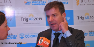 Diego Cifarelli: “No va a faltar trigo este año, pero lo que no sé es el precio al que se negociará”