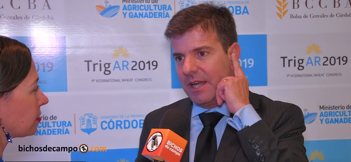 Diego Cifarelli: “No va a faltar trigo este año, pero lo que no sé es el precio al que se negociará”