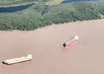 ¿Cómo se mueve una cosecha? Sobre 2 millones de camiones, 205 mil vagones, 6.400 barcazas y 2.800 barcos