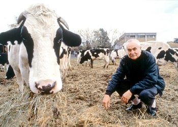 Crónicas Robadas: El tambo de Don Humberto en James Craik quedó bajo las aguas