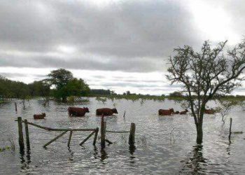 La Nación destinará 135 millones de pesos para socorrer a los productores chaqueños
